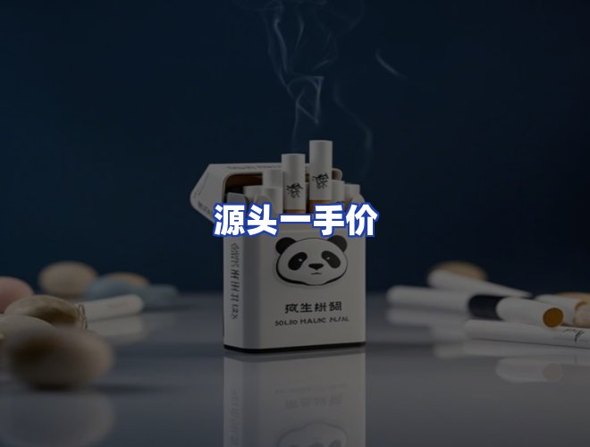 专业团队